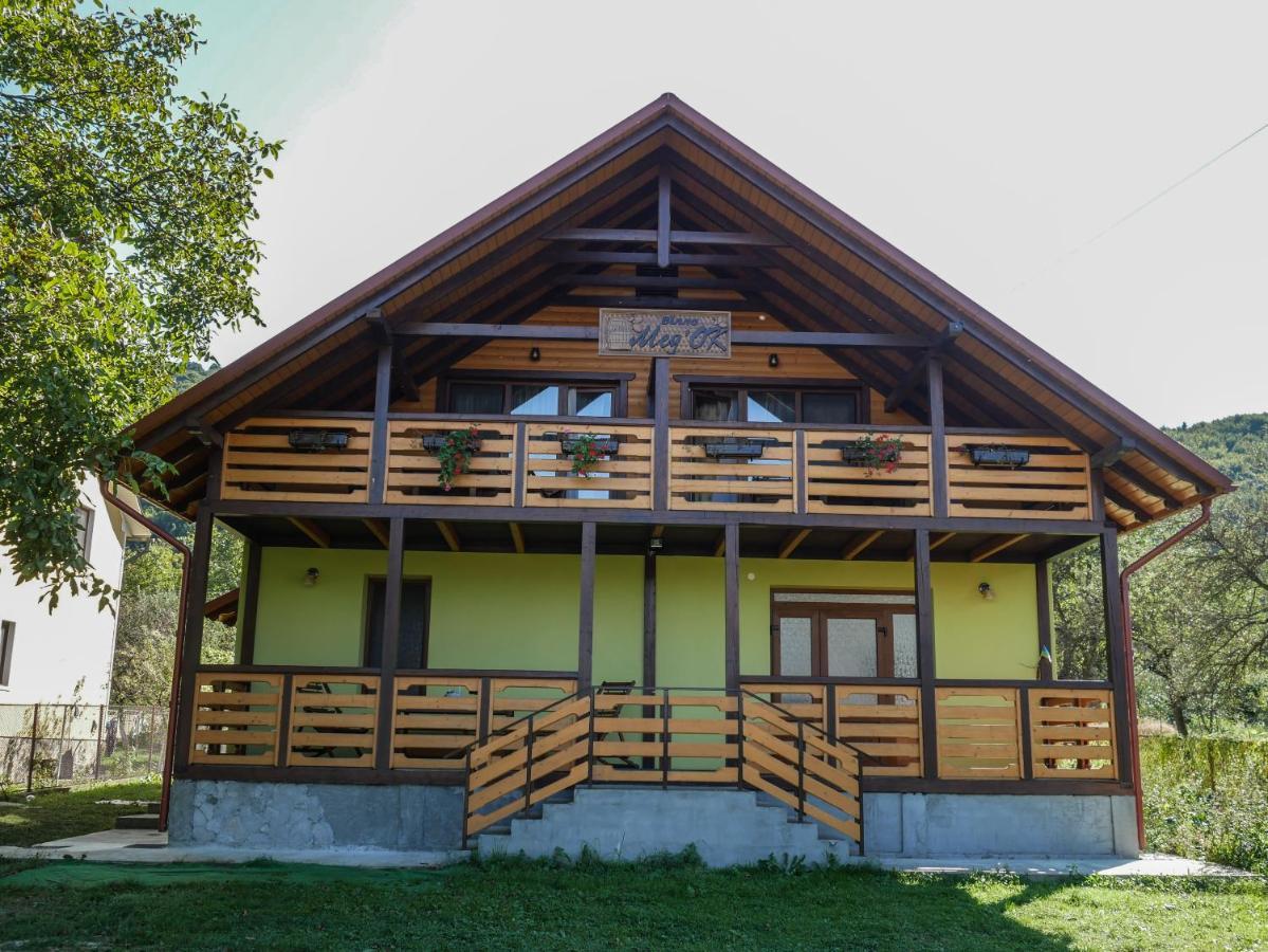 Villa Med'Ok Vijnița Exterior foto